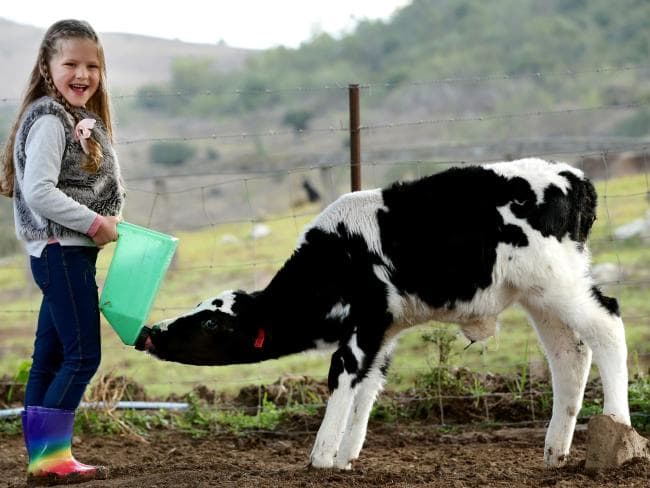 Farmer stunned after people