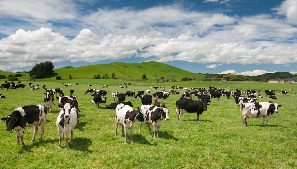 Study says NZ farmers financially resilient