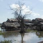 Aid distributed to flood hit dairy farmers