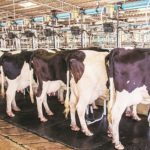 Dairy board to commission Rs 242 cr automated plant in Odisha in 2020