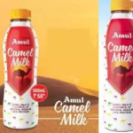 AMUL to introduce camel milk in sizes of 200 ml pet bottles