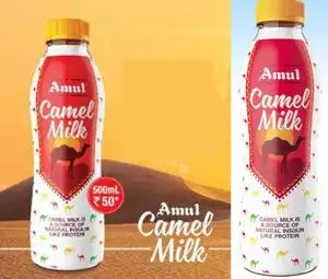 AMUL to introduce camel milk in sizes of 200 ml pet bottles