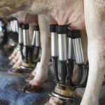 Future focus workshops for dairy farmers