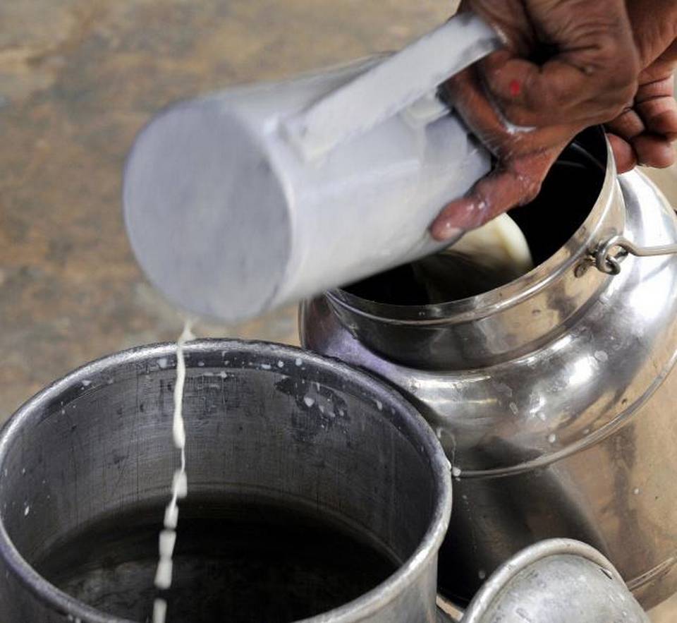 79 milk in Maharashtra is adulterated