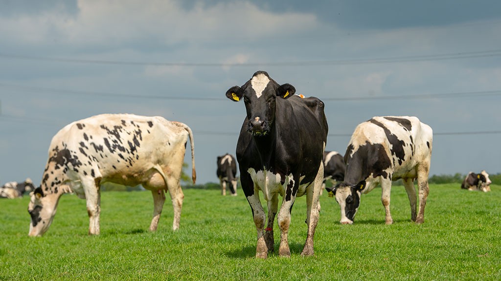 Widening milk price gap highlights a broken market