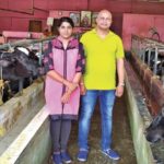 Beyond corporate life joy in a dairy farm