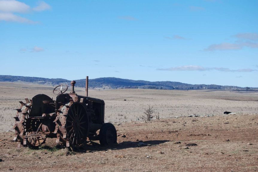 Farmers now planning for drought not fighting it