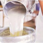 Punjab CM launches immunity boosting milk