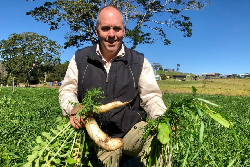 Regenerative biological pasture improvement trial gives sceptical dairy farmer hope