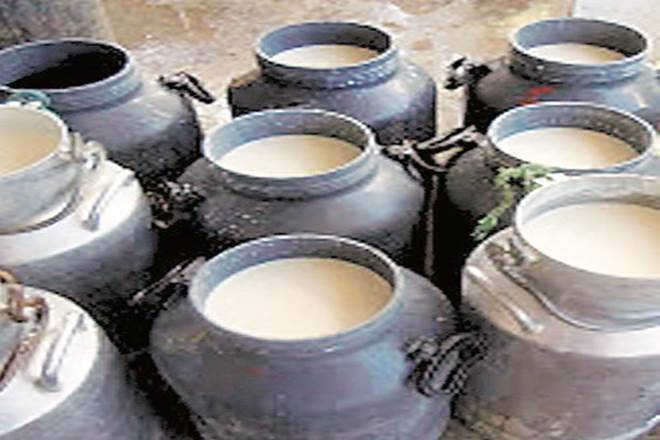 Milk oversupply amid low demand