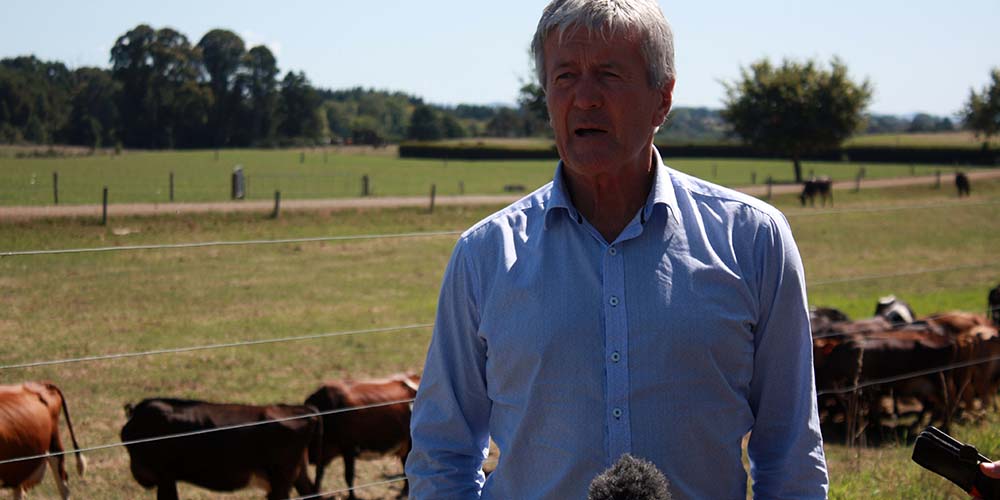 Minister seeks answers on live export trade