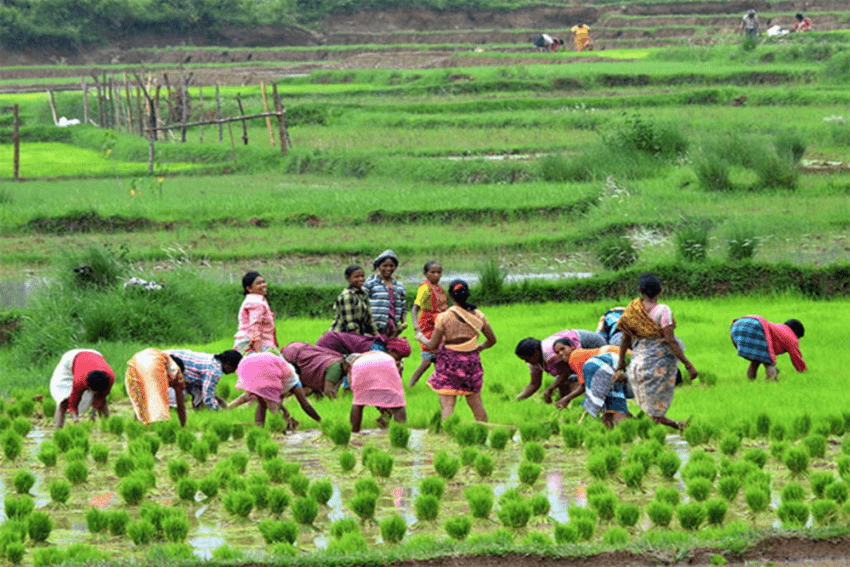 Why Its Essential To Empower Women Farmers In Agribusiness Value Chains