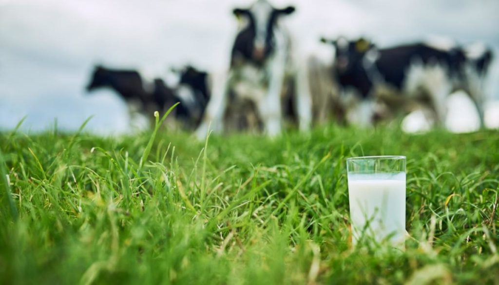 Anchor speciality milks get carbon zero certification