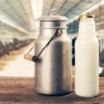 Dairy companies increase milk procurement prices