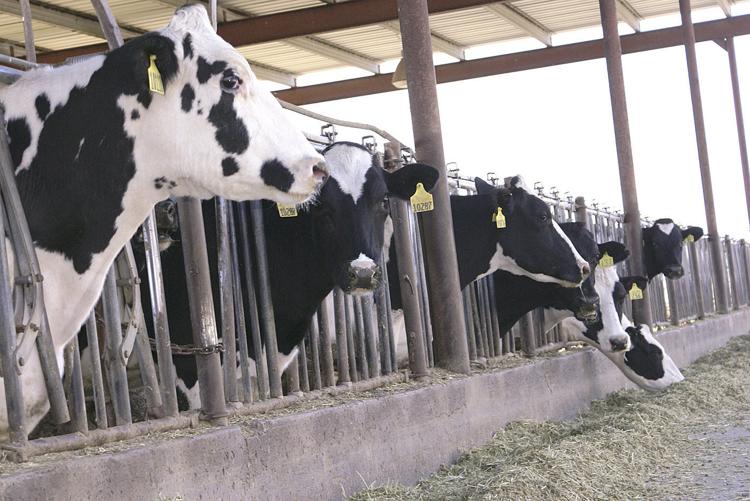 Idaho net farm income surges to record high