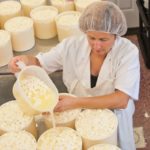 Dairy farmers all cheese for milk