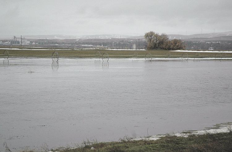 Idaho dairy owner fined 130000 for Clean Water Act violation