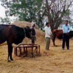 Telangana to release pending arrears to dairy farmers after March 18