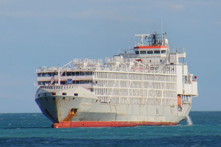 NZ bans cattle exports by sea with two year phase out