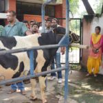 Training in dairy farming ends at vet varsity