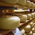 Awards for NZ’s top cheeses