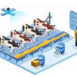 How Digitalization Can Help Improve Dairy Farming