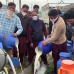 Kashmir dairy farmers dump milk in drains as Kovid affects demand