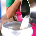 Milk shortage in Kolhapur city despite adequate production