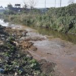 Plan to shift dairies hangs fire untreated waste pollute Buddha Nullah
