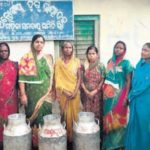 Women dairy farmers stare at dry business amid lockdown in Odisha