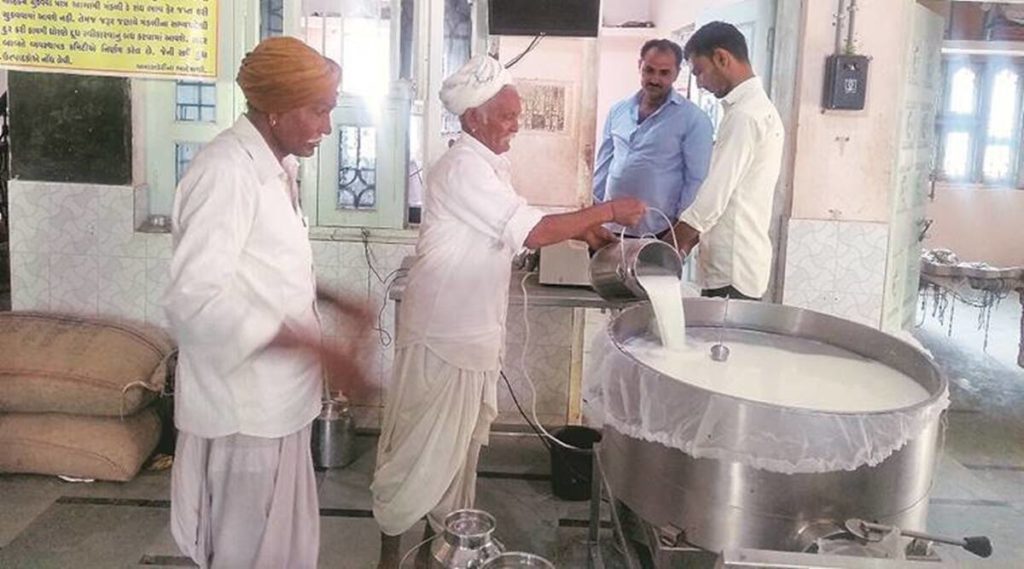 Maharashtra dairy farmers dump milk on road in protest against low prices