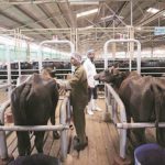 Quality focus to aid pvt cos gain in dairy sector