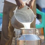 Milk powder stockpiles up in Maharashtra on weak demand