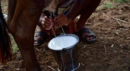 demonisation of dairy sector must stop