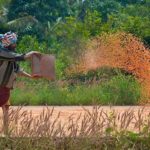 How climate change is impacting Indias agricultural landscape