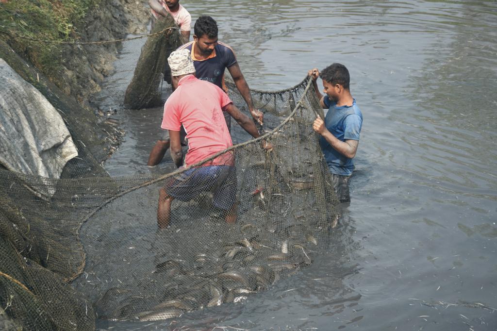 Antimicrobial resistance in aquaculture can hit exports Centre warns states