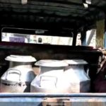 How North Bengal dairy farmers changed Sikkims milk import ‘ban