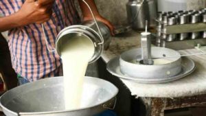 Jerry village has become the first milk village of Jammu and Kashmir. (signal picture)