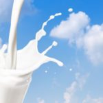 Why South India’s Next Growth Story in Dairy Is a Protein Story protein