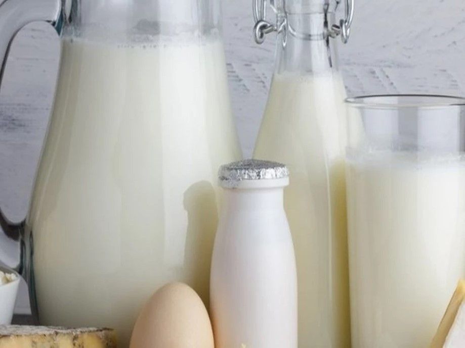 Indian Scientists identify next generation probiotic bacterium from dairy product 1