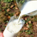 Cattle feed directly impact the quality of milk and your health Heres how