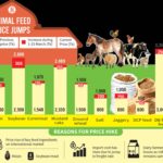 Dairy farmers helpless as feed prices jump in wake of war