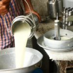 Dairy farming a lucrative viable economic activity