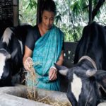 Women Dairy Farmers in Assam Are Earning up to Rs. 10 Lakhs per year
