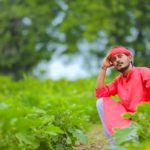 Govt will support farmers