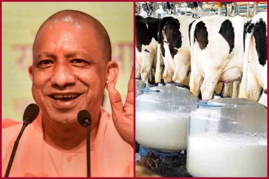 UP Govt to augment Dairy sector dairy units to be developed on PPP model