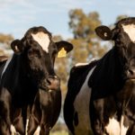 National Farmers Training on Smart Dairy Farming Back