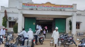 Banas Dairy
