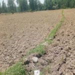 Pulwama farmers affected by shortage of water demand efficient irrigational facilities