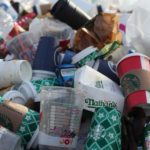 SINGLE USE PLASTIC BAN PLASTIC CUPS AND TRAYS FOR DAIRY AND FOOD PACKAGING TO COME UNDER EPR